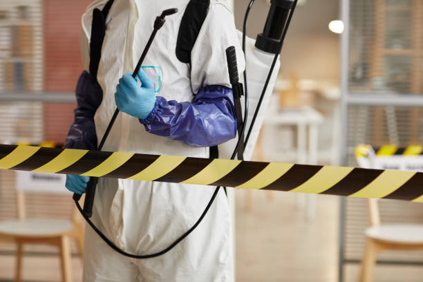 Professional Sewage Cleanup technician working in Bellevue, IL