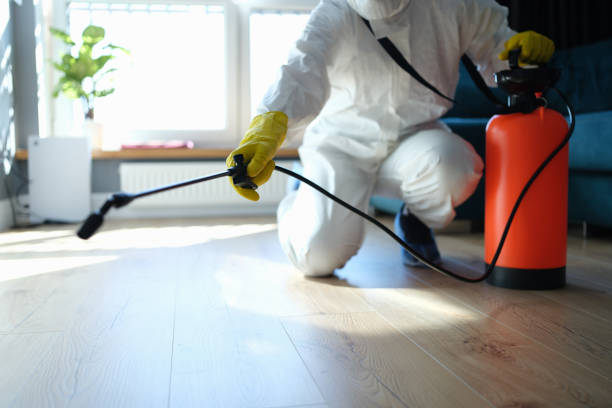 Reliable Sewage Cleanup contractor in Bellevue, IL by Dulley Family Biohazard Services